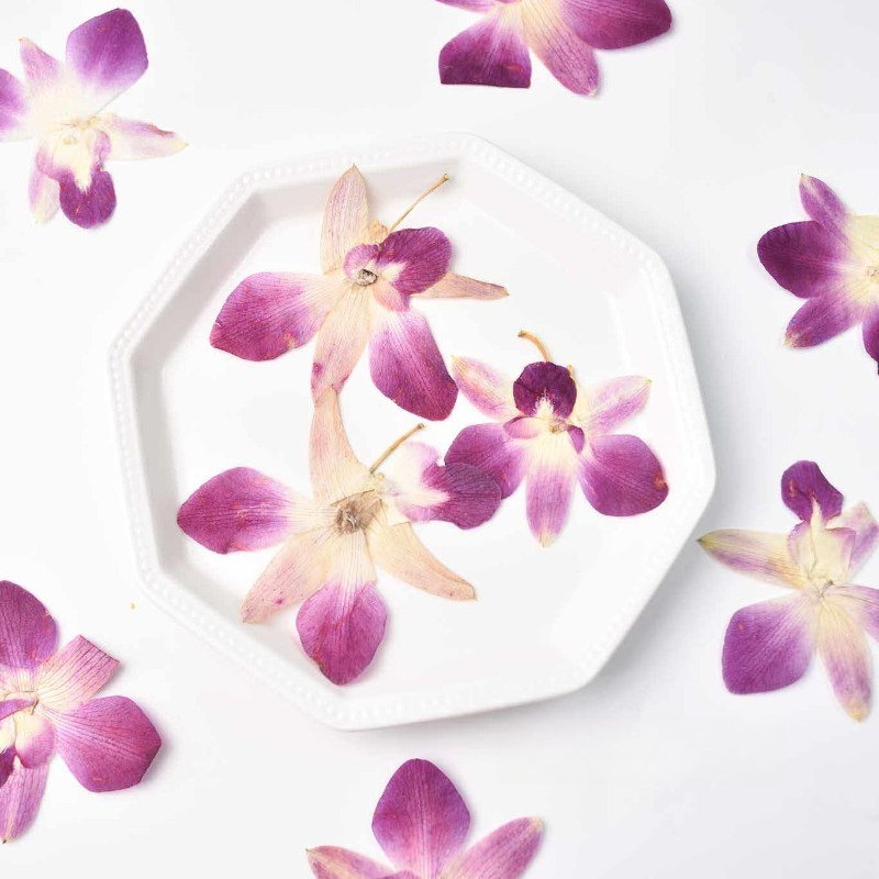 Art Craft Butterfly - 4pcs,Real Pressed Butterfly Orchid Flowers DIY