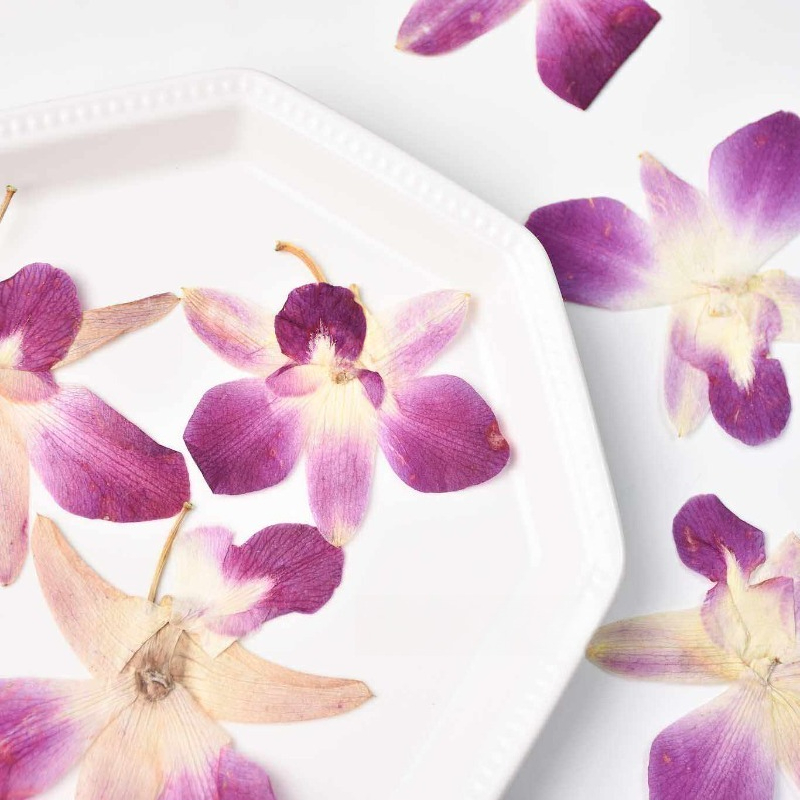 4pcs,Real Pressed Butterfly Or - Art Craft Butterfly 评论和价格