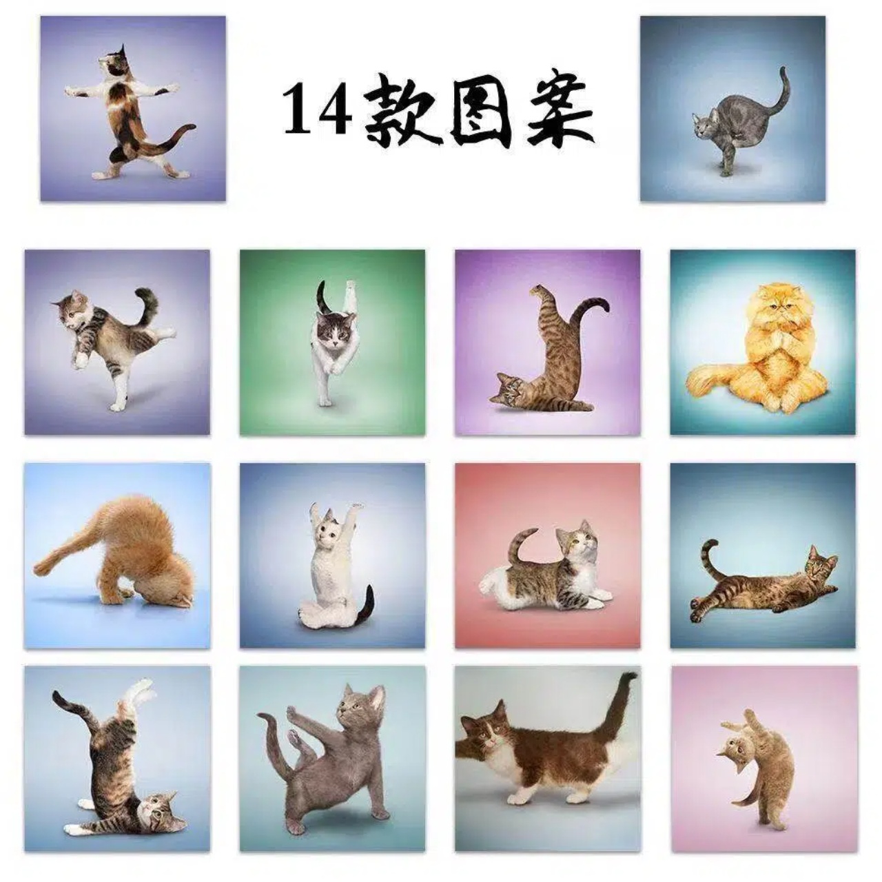500pcs Cute Cat Roll Stickers  - Art Craft Journal 评论和价格