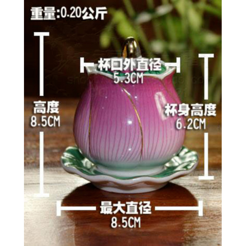 Creative Crafts Lotus Holy Wat - Art Craft Cup 评论和价格