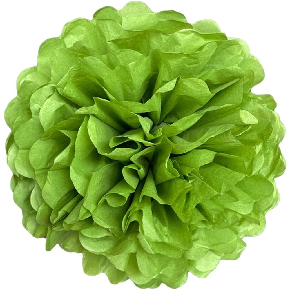 5 Pcs 6 8 10 12 inch Tissue Pa - Art Craft Items 评论和价格